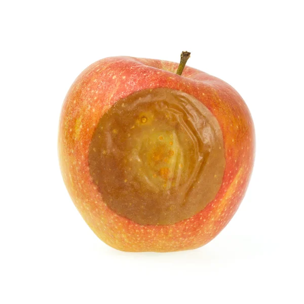 Jeden zły czerwone jabłko — Zdjęcie stockowe
