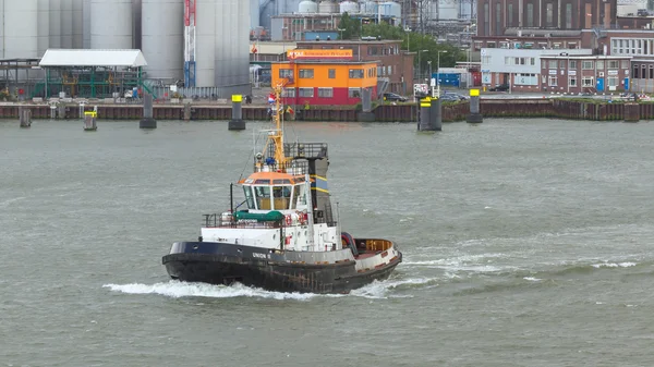Old tugboat di Rotterdam — Stok Foto