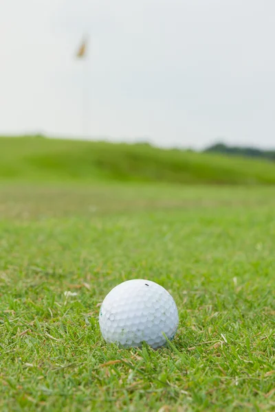 Pallina da golf sull'erba — Foto Stock
