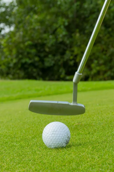 Мяч для гольфа перед водителем — стоковое фото
