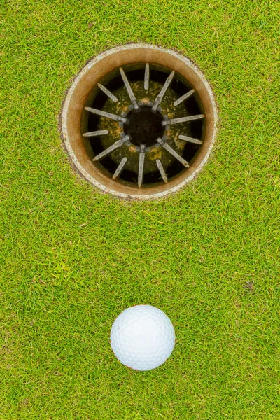 Hole in One - ALMOST! — Stock Photo, Image