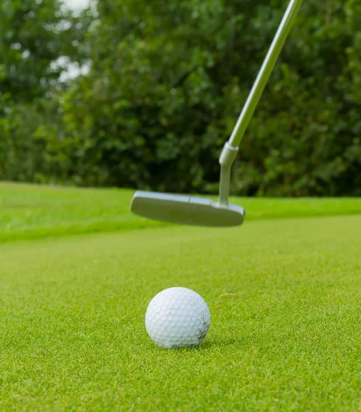 Golf ball on front of a driver Stock Photo