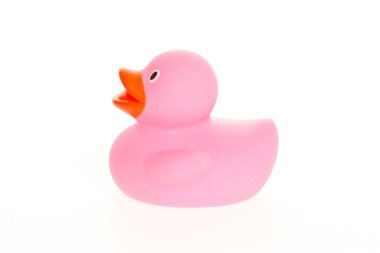 pembe ördek izole