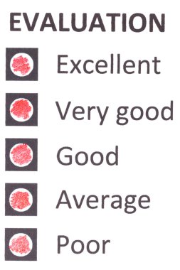 choises ile evaluationform