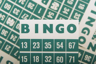 izole yeşil bingo kartları