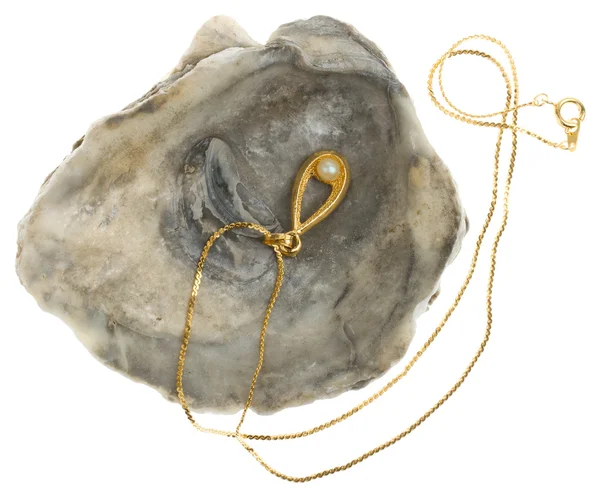 Collana d'oro con una perla in un guscio di ostrica — Foto Stock