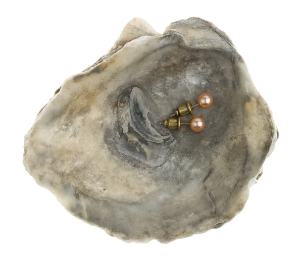 Pendientes de perlas en una concha de ostra — Foto de Stock