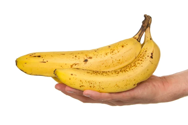 Mão cheia de bananas — Fotografia de Stock
