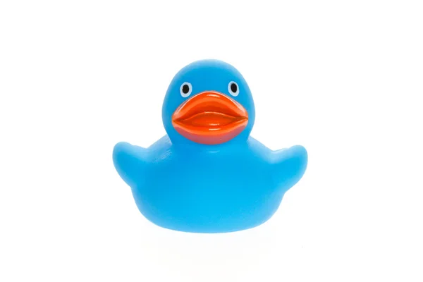 Blue duck isolated — Stock Photo, Image
