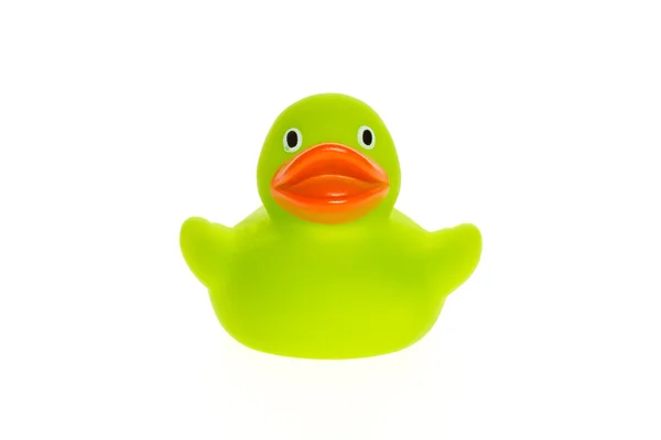 Green duck isolated — Stock Photo, Image
