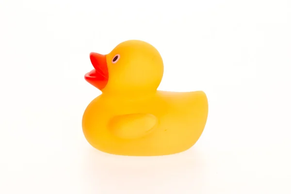 Orange duck isolated — Stock Photo, Image