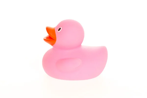 Pink duck isolated — Stock Photo, Image