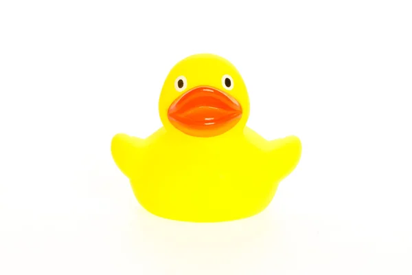 Yellow duck isolated — Stock Photo, Image