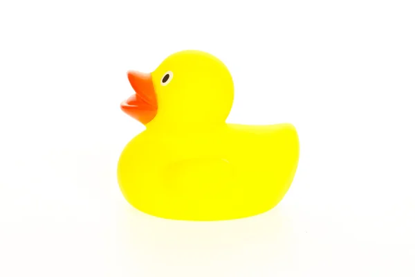 Pato amarillo aislado — Foto de Stock