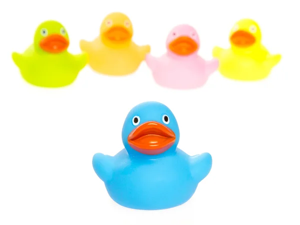 Rubber ducks isolated — Stock Photo, Image