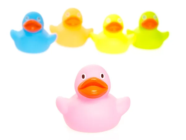 Rubber ducks isolated — Stock Photo, Image