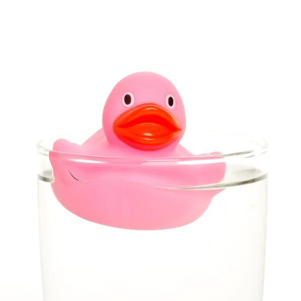 Pink duck — Stock Photo, Image