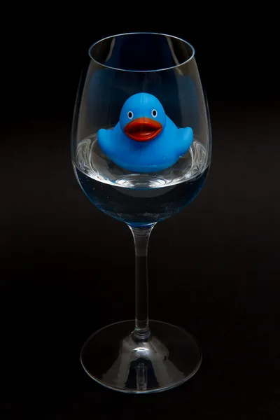 Pato de goma azul en una copa de vino — Foto de Stock