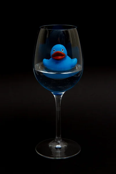 Pato de goma azul en una copa de vino — Foto de Stock