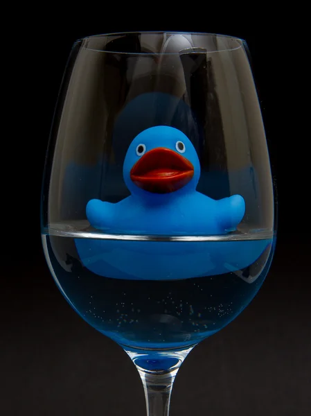 Pato de goma azul en una copa de vino — Foto de Stock