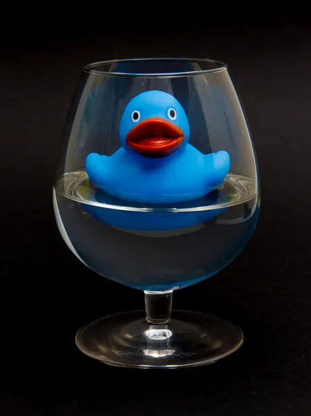 Голубая резиновая утка в коньячном стекле — стоковое фото