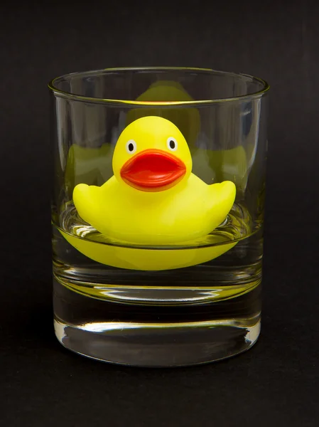 在 whiskyglass 中的黄色橡皮鸭 — 图库照片