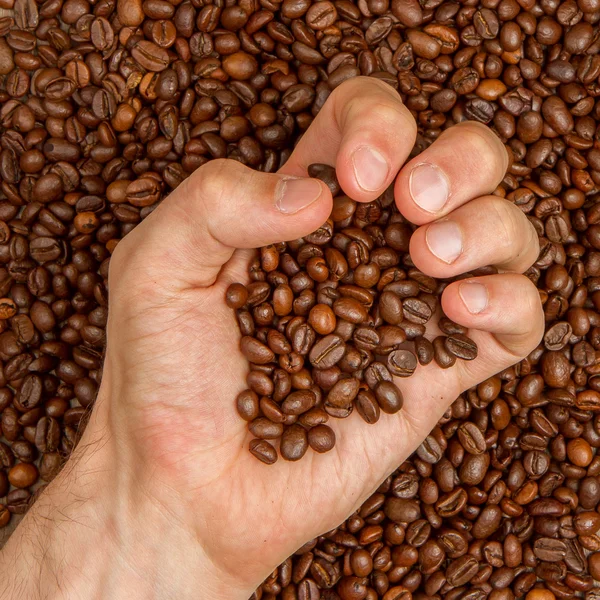 Kaffeebohnen in der Hand — Stockfoto