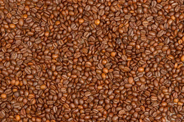 Coffee beans background — Stock Photo, Image