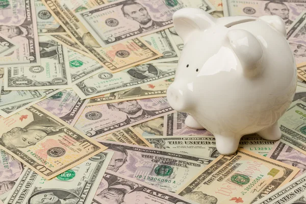 Piggy bank op dollarbiljetten — Stockfoto