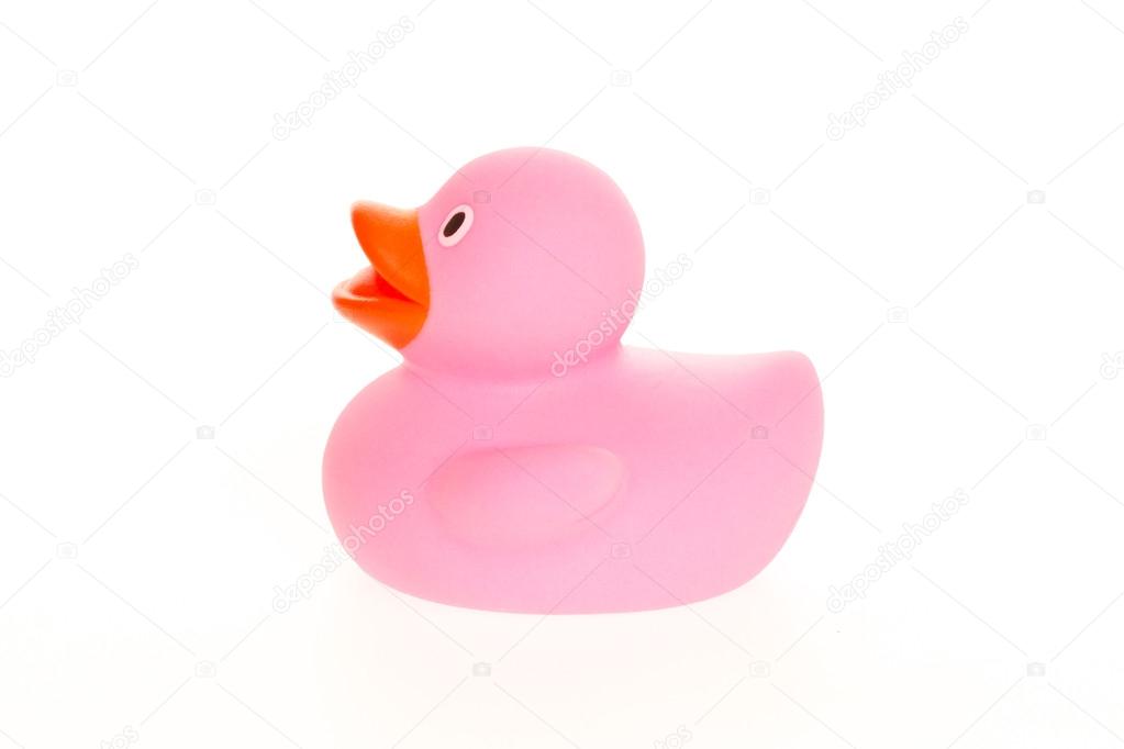 Pink duck isolated