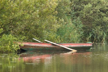 Red rowing boat on lake