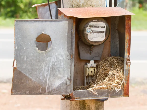 Гнездо воробья в шкафу с электрическим счетчиком — стоковое фото