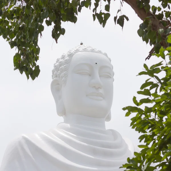 Buda, landmark nha trang, vietnam üzerinde — Stok fotoğraf