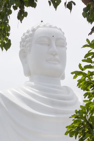 Buda, landmark nha trang, vietnam üzerinde — Stok fotoğraf