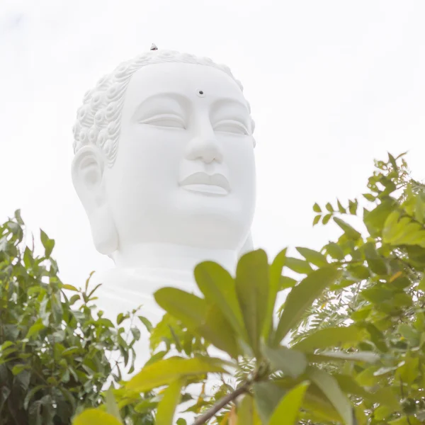 Buda, landmark nha trang, vietnam üzerinde — Stok fotoğraf