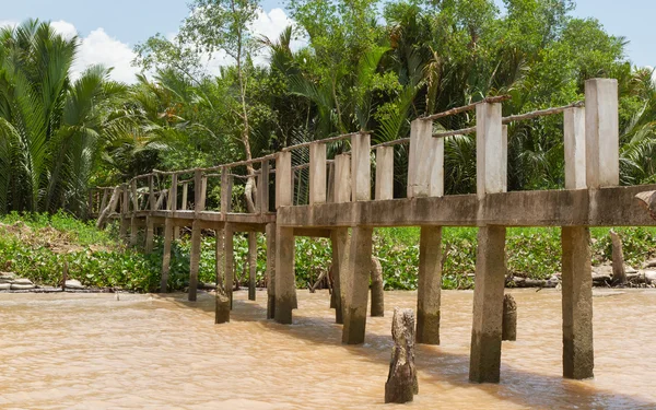 Betonbrücke in den Dschungel — Stockfoto