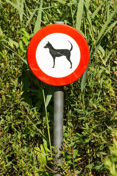 Velho sinal danificado nos arbustos - cães proibidos — Fotografia de Stock