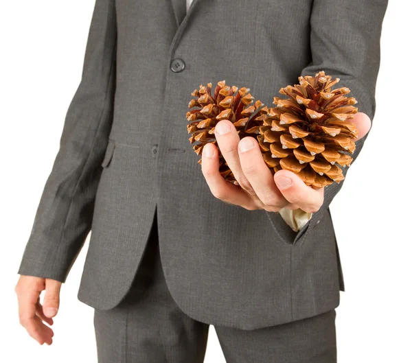 Mann im grauen Anzug hält zwei Tannenzapfen in der Hand — Stockfoto