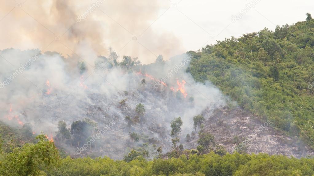 Starting forrest fire with lots of smoke