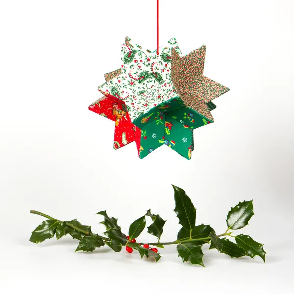 Butcher's broom and christmas decoration, isolated — Stock Photo, Image