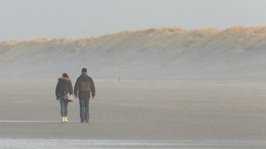 Couple walking on a dutch beach clipart