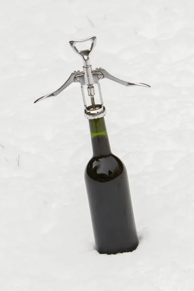 Flasche Rotwein im Schnee — Stockfoto