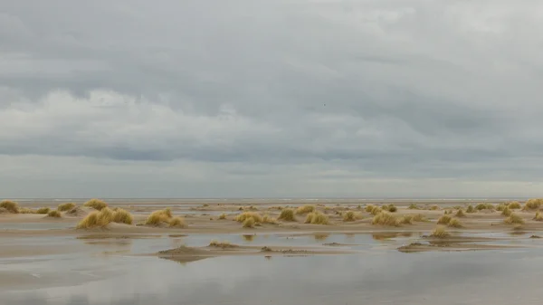 Lågvatten på sanddynerna i ameland — Stockfoto