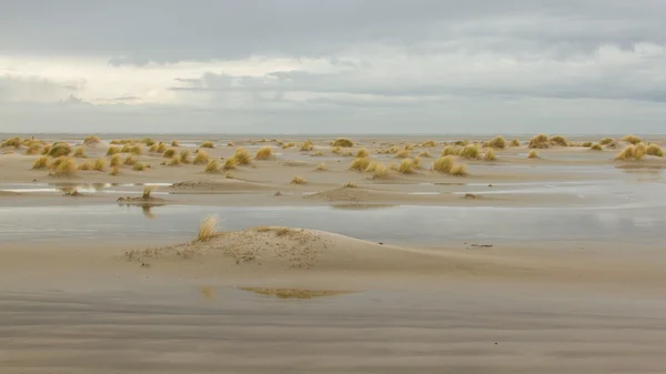 Marea baja en las dunas de Ameland —  Fotos de Stock