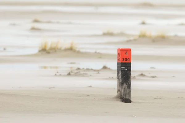 Marea baja en las dunas de Ameland — Foto de Stock