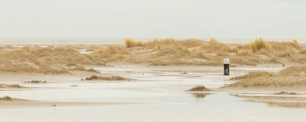 Maré baixa nas dunas de Ameland — Fotografia de Stock