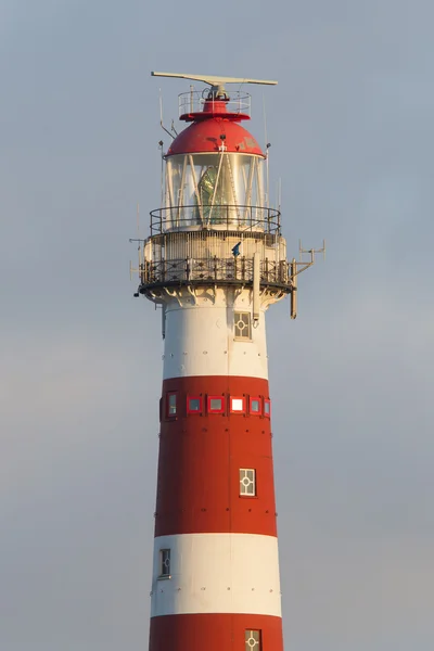 Red and white lighthouse — Stock Photo, Image