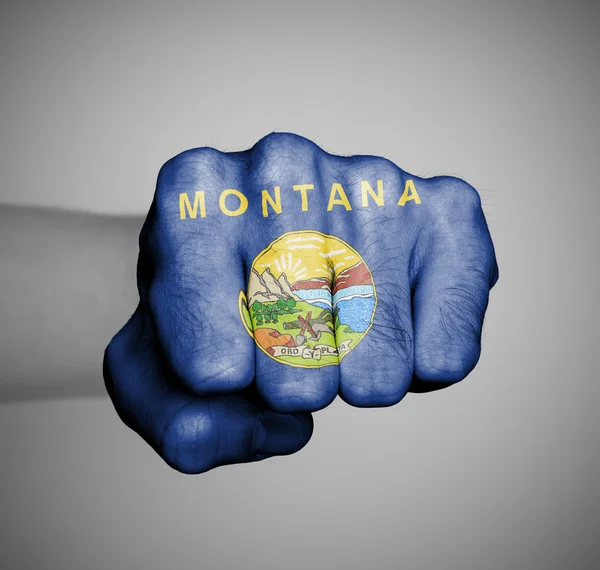 USA, knytnäve med flaggan montana — Stockfoto