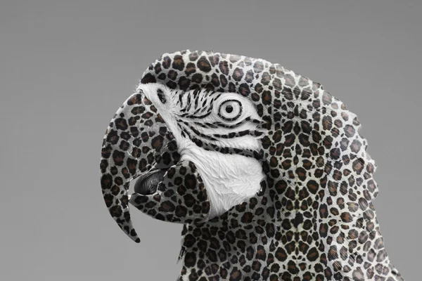 Papuga Ara z Lampart wydruku — Zdjęcie stockowe