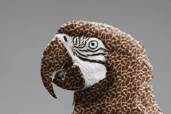 Papuga Ara z wydruku żyrafa — Zdjęcie stockowe